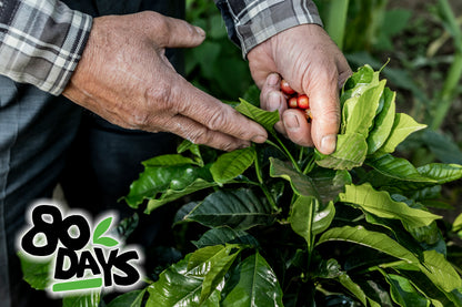 Nepal - Mount Everest Supreme