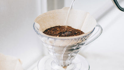 Hario - V60 Dripper