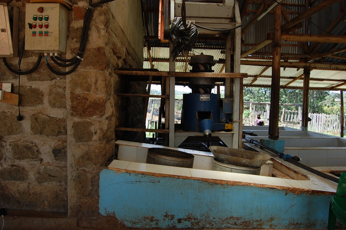 Kenia - Sakami Gloria