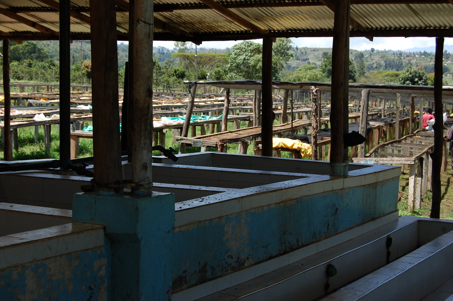 Kenia - Sakami Gloria