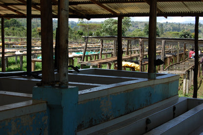 Kenia - Sakami Gloria