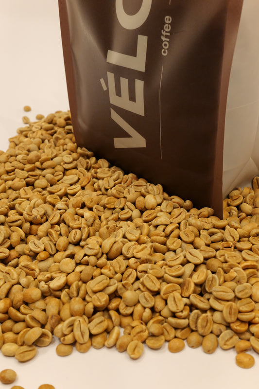 Thailand - Beanspire Doi Saket